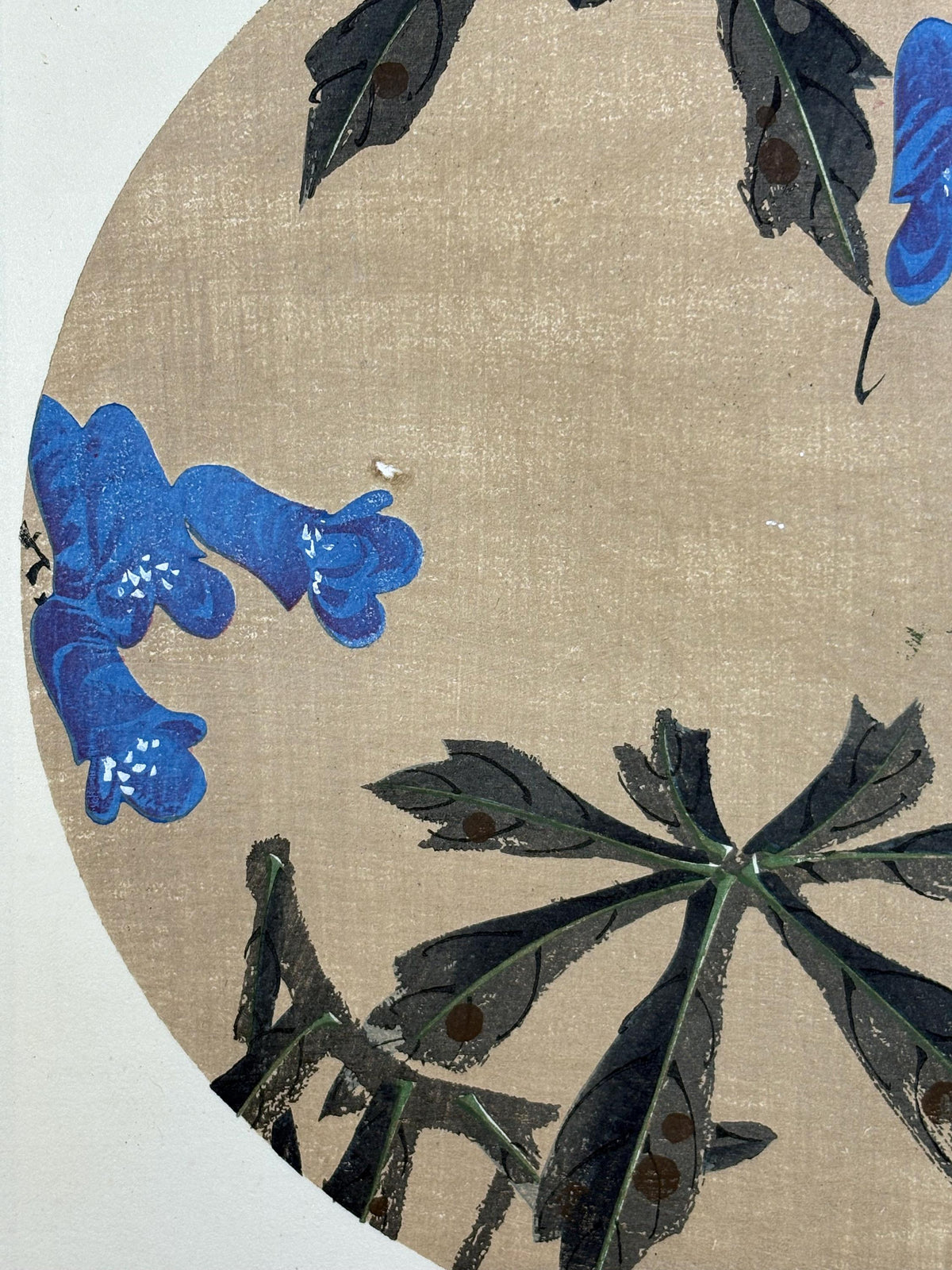 1908, Japanese antique woodblock print, Ito Jakuchu, "Monkshood, from Jakuchu gafu"