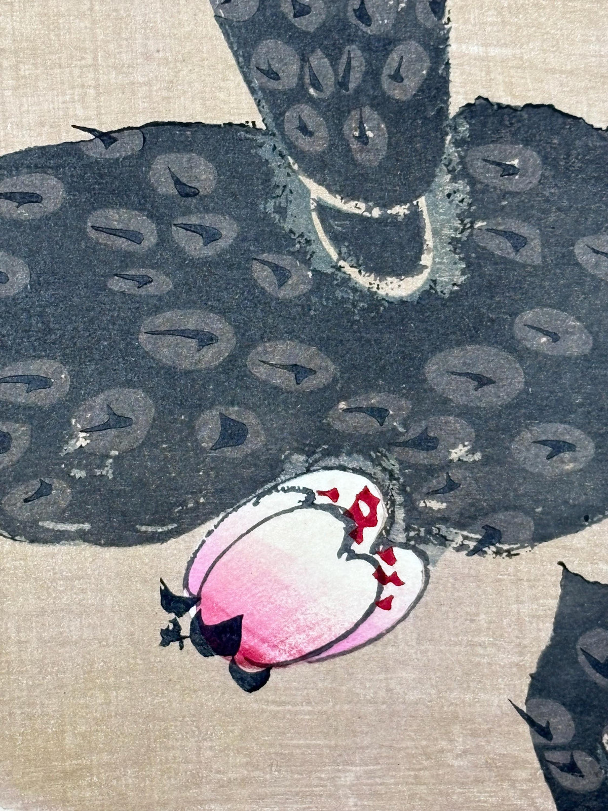 1908, Japanese antique woodblock print, Ito Jakuchu, "Cactus, from Jakuchu gafu"
