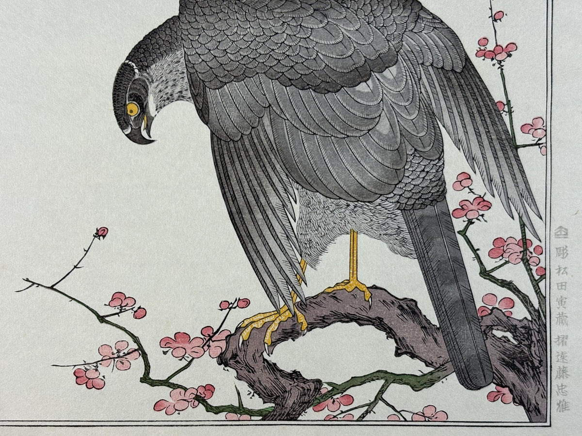 Japanese Ukiyo-e, woodblock print, Utamaro , "Hawk and Shrike"