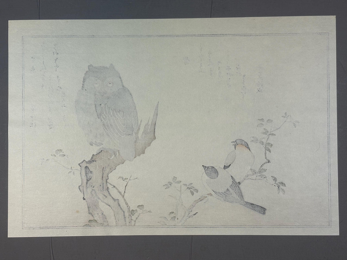 Japanese Ukiyo-e, woodblock print, Utamaro , "Horned Owl and Bullfinch"