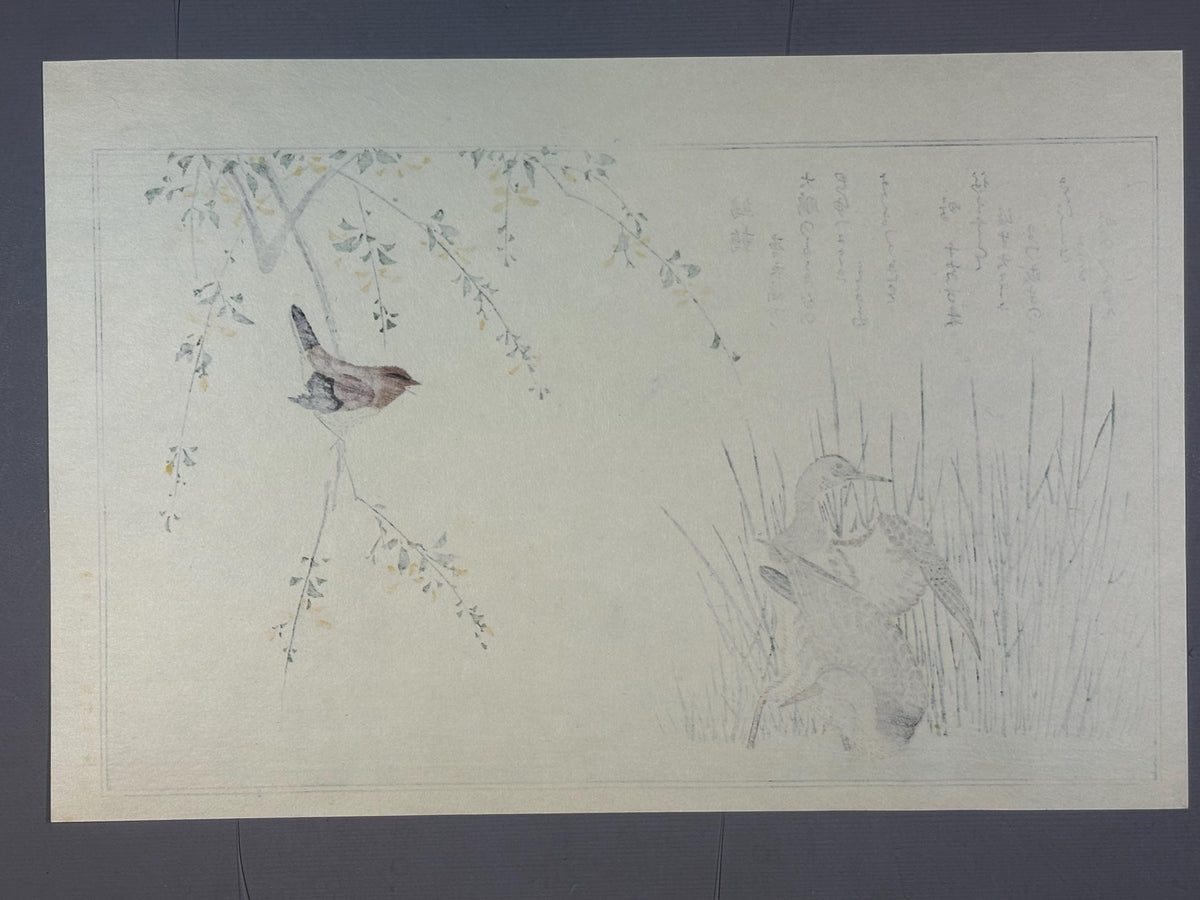 Japanese Ukiyo-e, woodblock print, Utamaro , "Wren and Snipe"