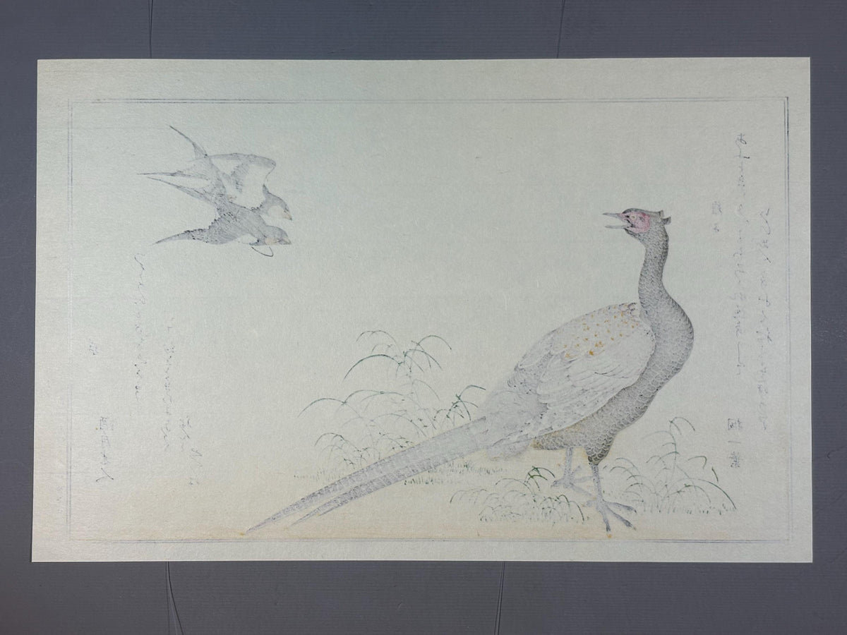 Japanese Ukiyo-e, woodblock print, Utamaro , "Swallow and Pheasant"