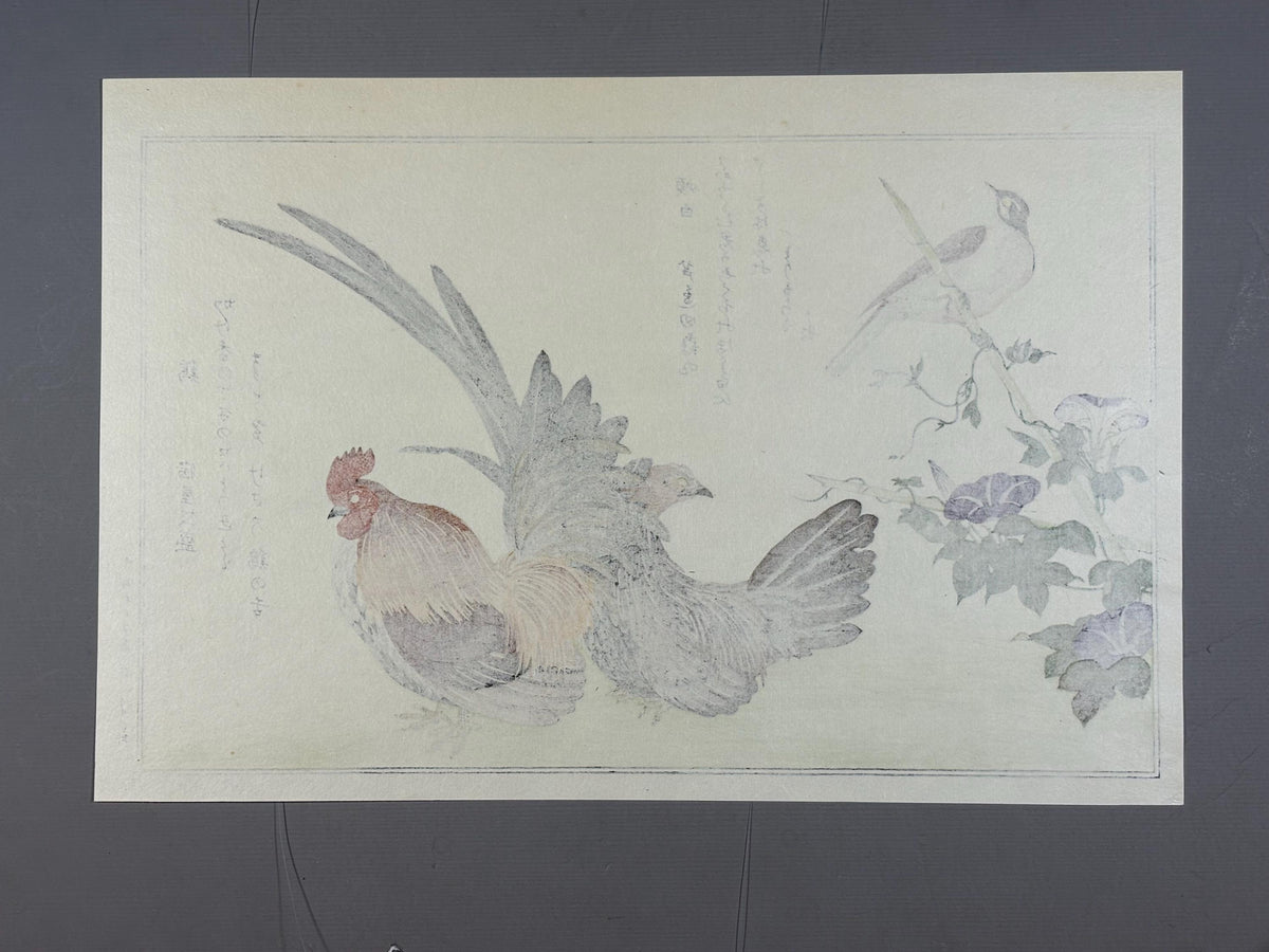 Japanese Ukiyo-e, woodblock print, Utamaro , "Rooster and Meadow Bunting"