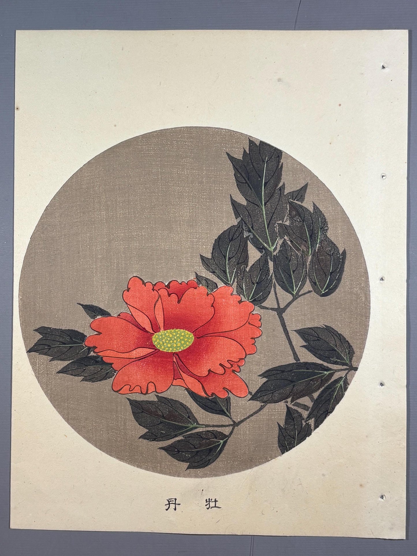 1908, Japanese antique woodblock print, Ito Jakuchu, "Peony, from Jakuchu gafu"
