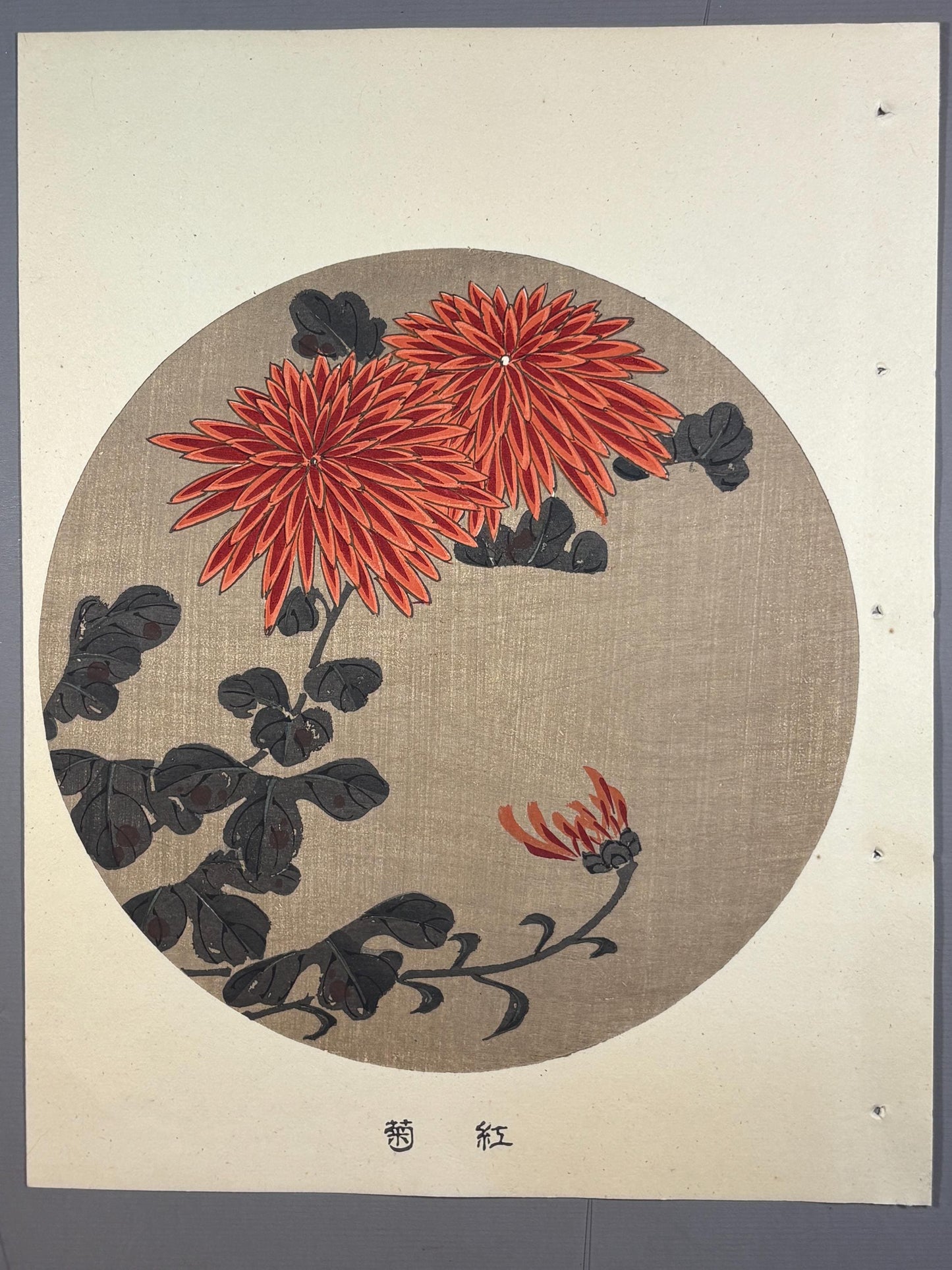 1908, Japanese antique woodblock print, Ito Jakuchu, "florists’ daisy, from Jakuchu gafu"