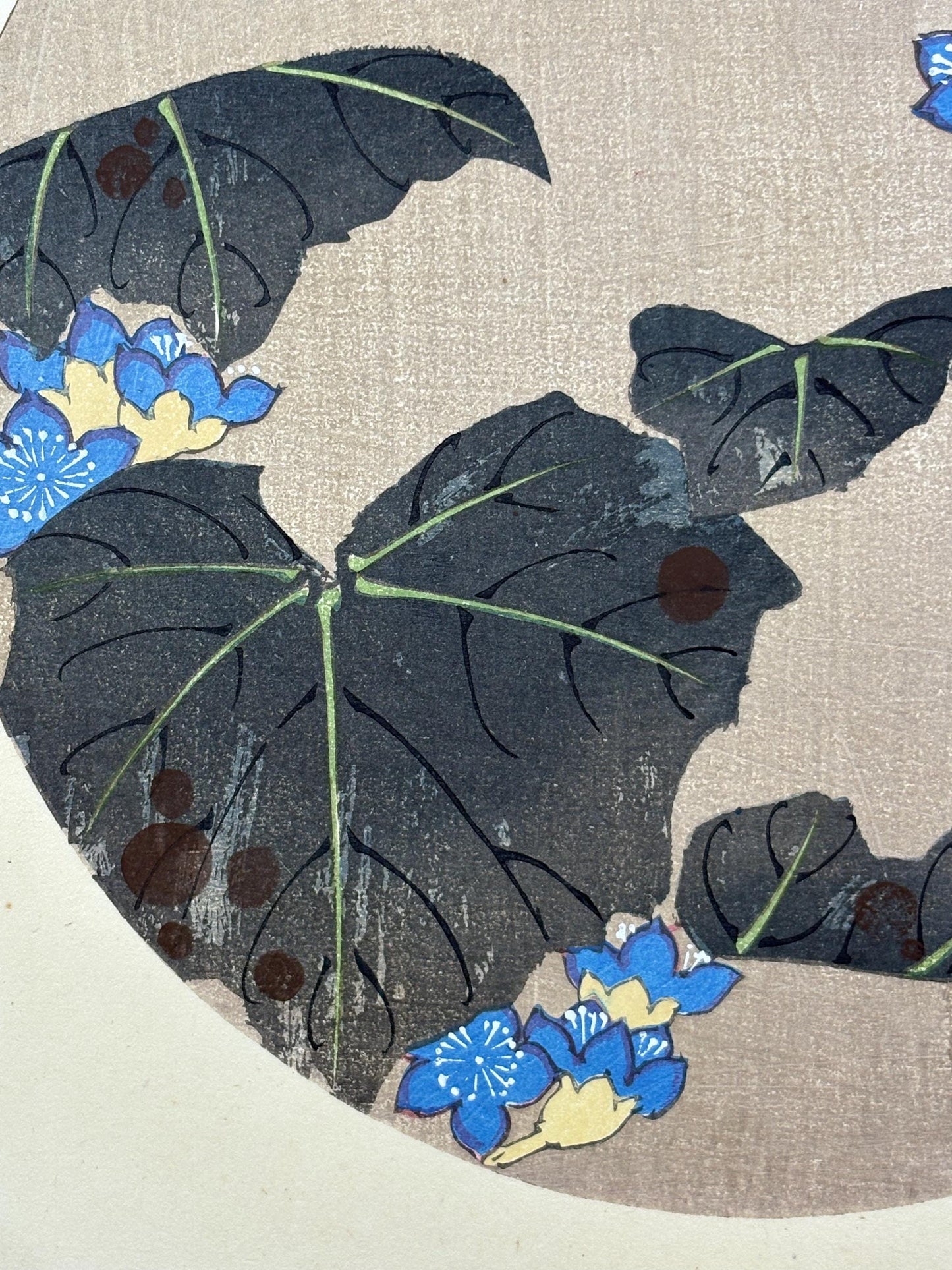 1908, Japanese antique woodblock print, Ito Jakuchu, "Empress tree, from Jakuchu gafu"