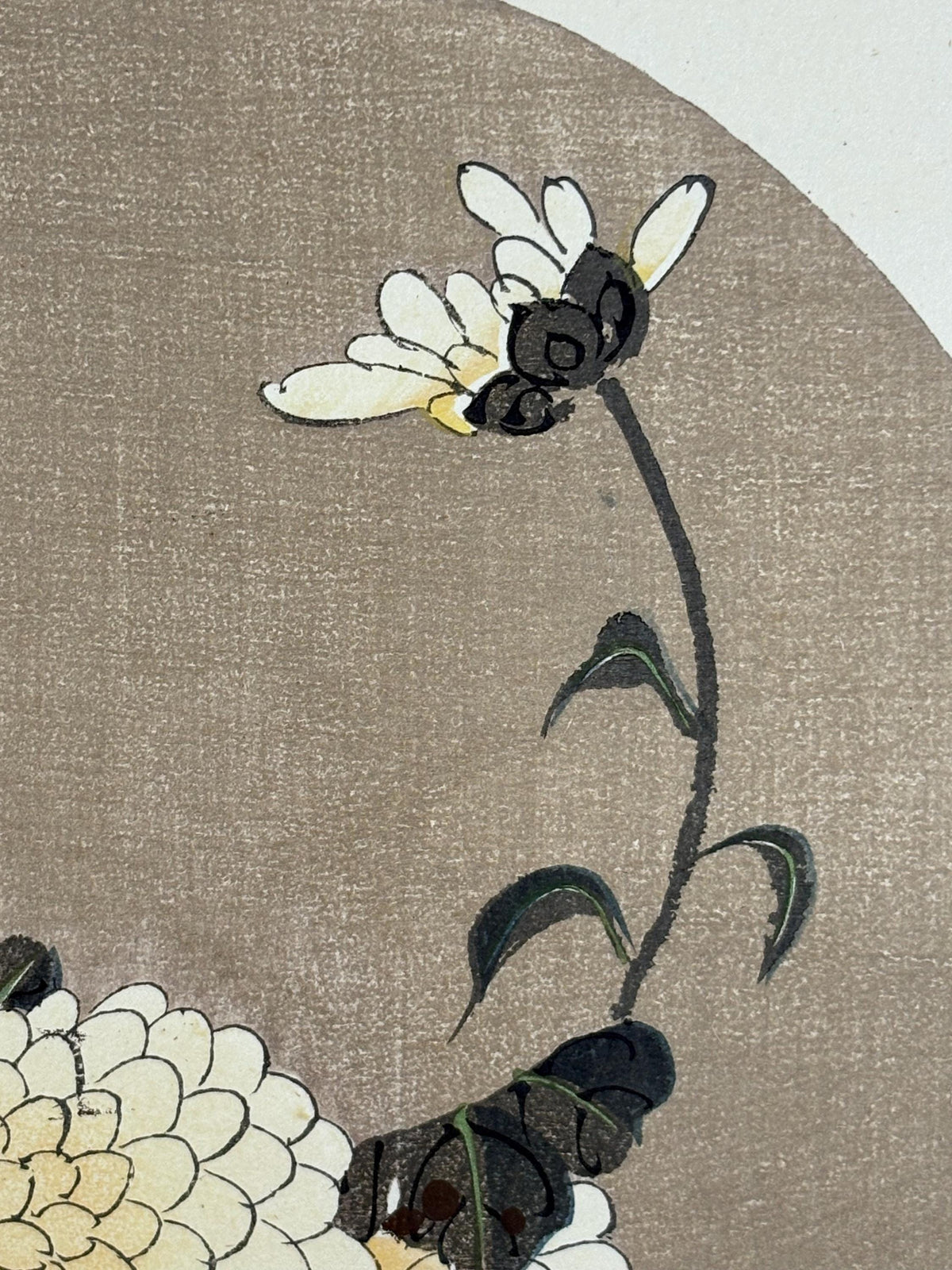 1908, Japanese antique woodblock print, Ito Jakuchu, "Chrysanthemum, from Jakuchu gafu"