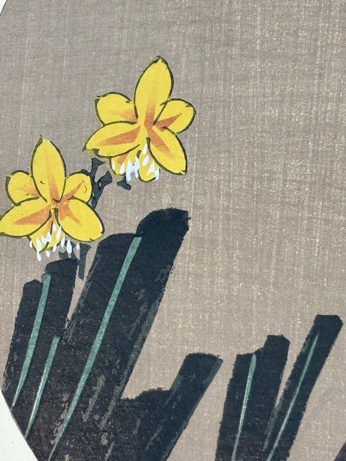 1908, Japanese antique woodblock print, Ito Jakuchu, "Leopard flower, from Jakuchu gafu"