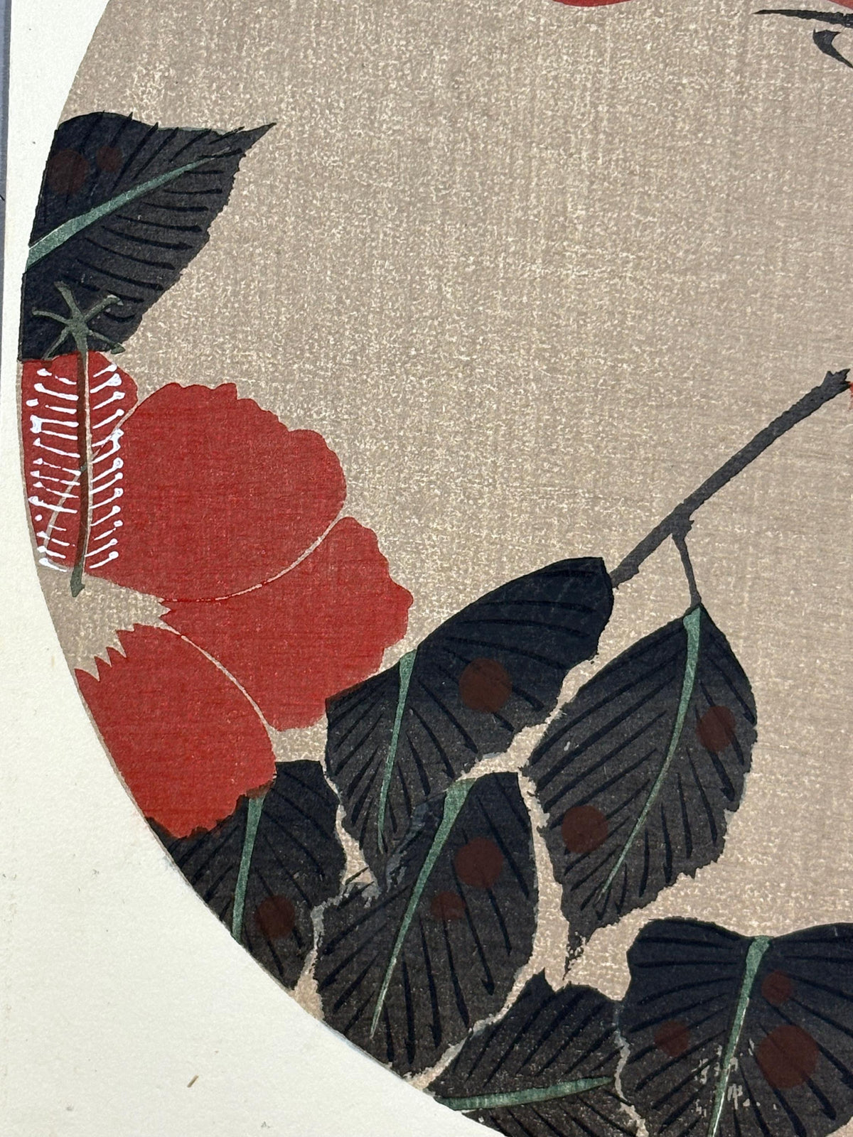 1908, Japanese antique woodblock print, Ito Jakuchu, "Hibiscus, from Jakuchu gafu"