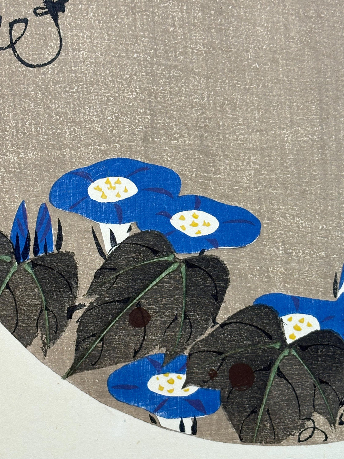 1908, Japanese antique woodblock print, Ito Jakuchu, "morning glory, from Jakuchu gafu"