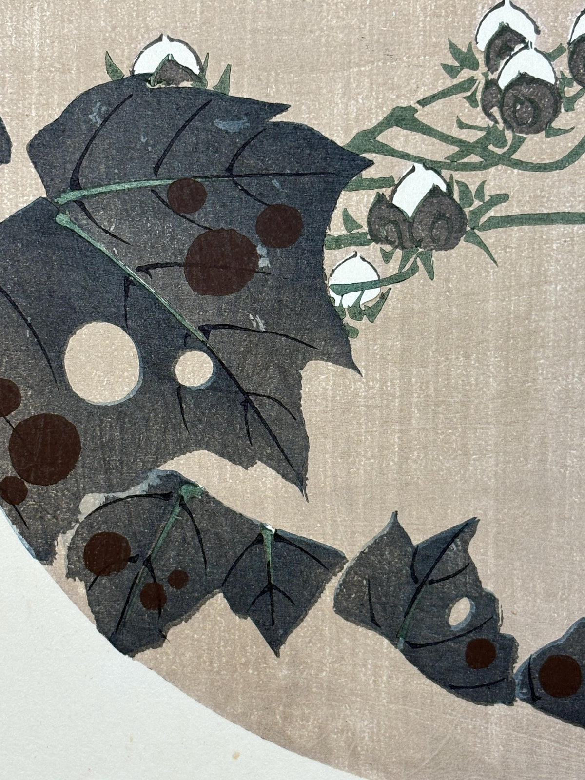 1908, Japanese antique woodblock print, Ito Jakuchu, "cotton rose, from Jakuchu gafu"