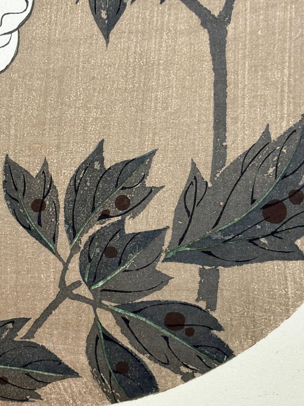 1908, Japanese antique woodblock print, Ito Jakuchu, "peony, from Jakuchu gafu"