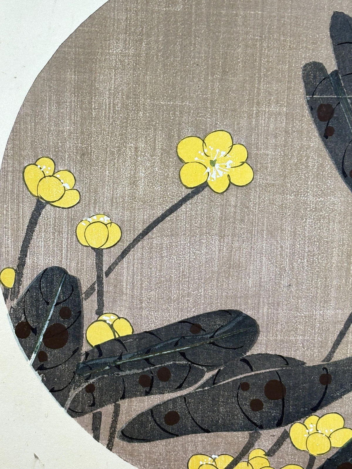 1908, Japanese antique woodblock print, Ito Jakuchu, "Japanese Pond-lily, from Jakuchu gafu"
