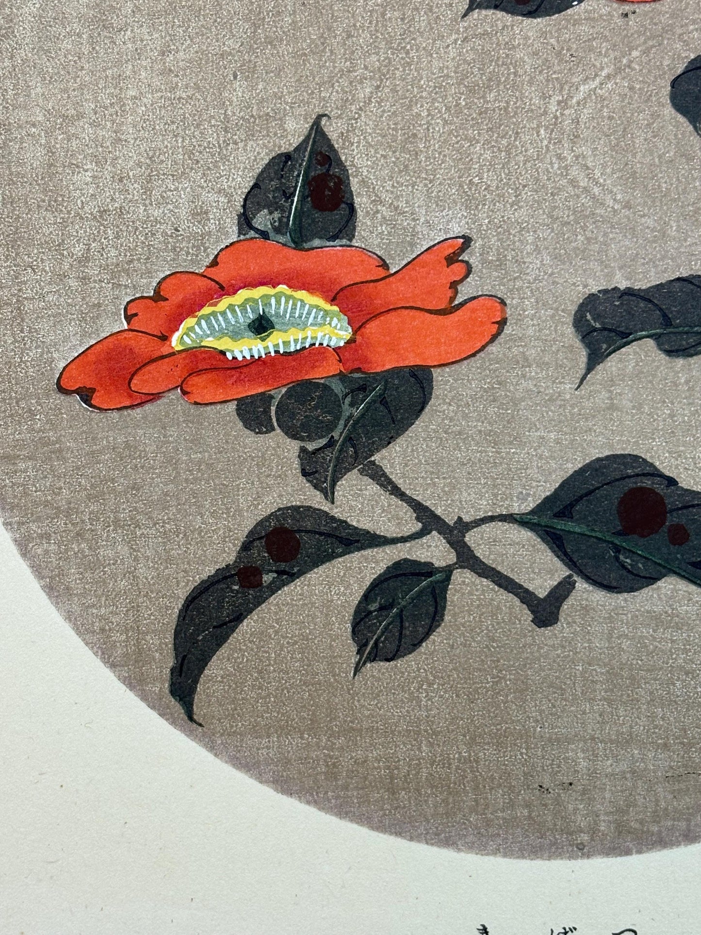 1908, Japanese antique woodblock print, Ito Jakuchu, "Camellia, from Jakuchu gafu"