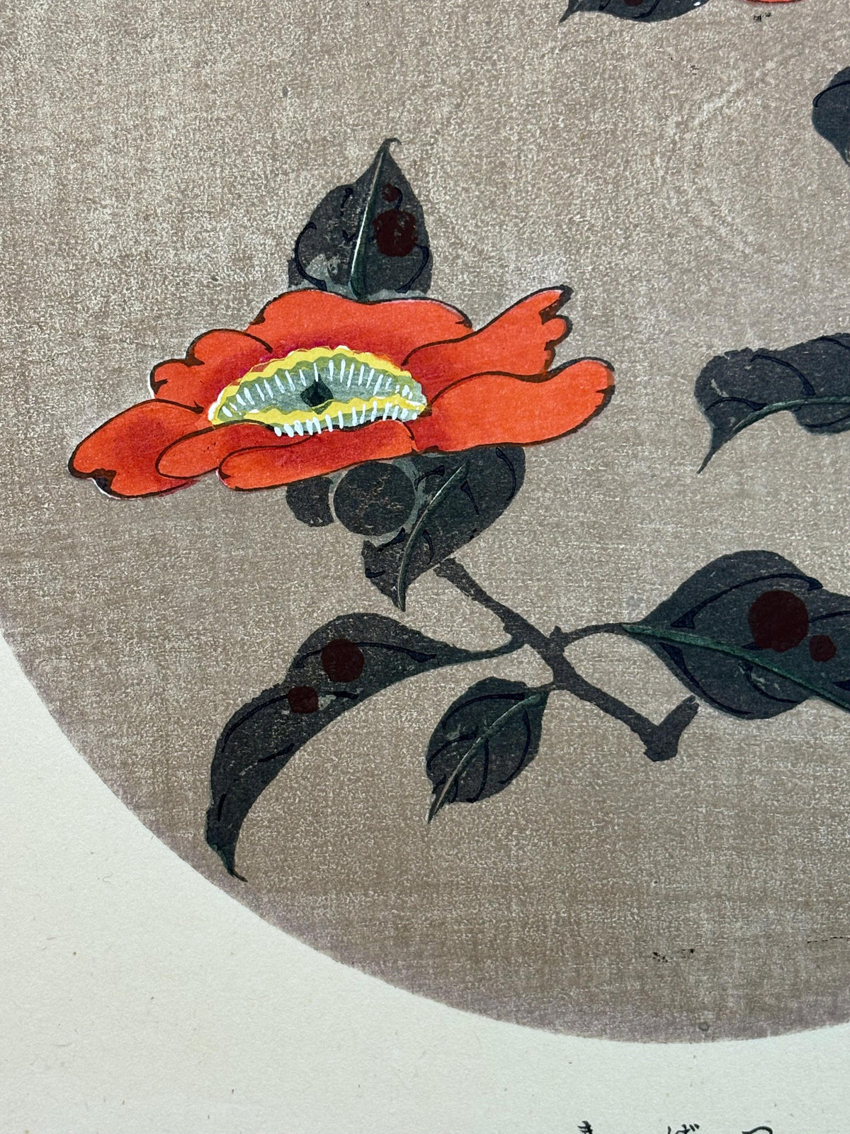 1908, Japanese antique woodblock print, Ito Jakuchu, "Camellia, from Jakuchu gafu"