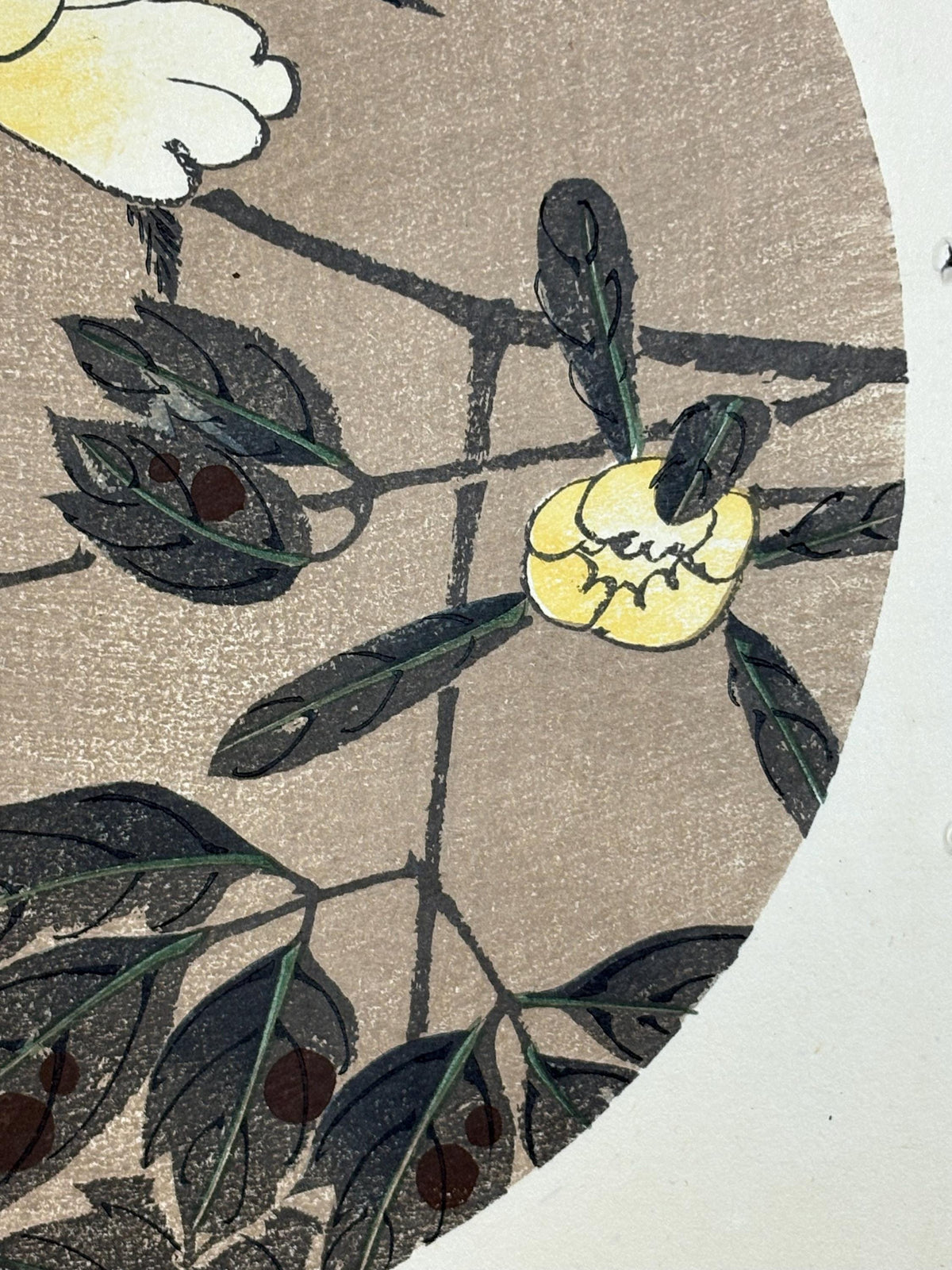 1908, Japanese antique woodblock print, Ito Jakuchu, "peony, from Jakuchu gafu"
