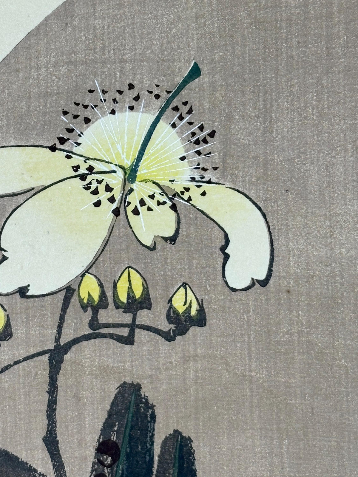 1908, Japanese antique woodblock print, Ito Jakuchu, "Chrysanthemum, from Jakuchu gafu"