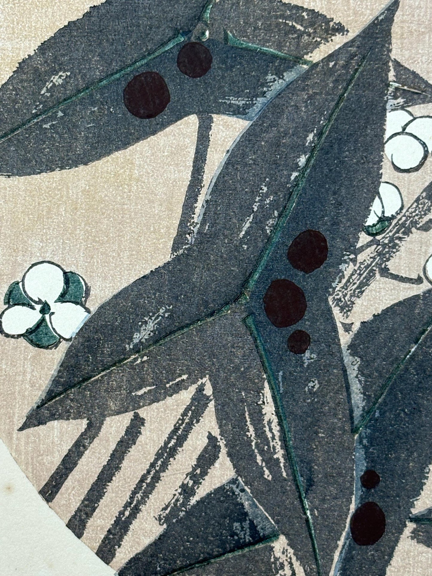 1908, Japanese antique woodblock print, Ito Jakuchu, "Three-leaf arrowhead, from Jakuchu gafu"
