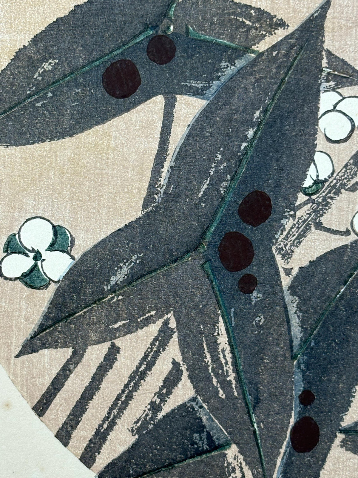 1908, Japanese antique woodblock print, Ito Jakuchu, "Three-leaf arrowhead, from Jakuchu gafu"
