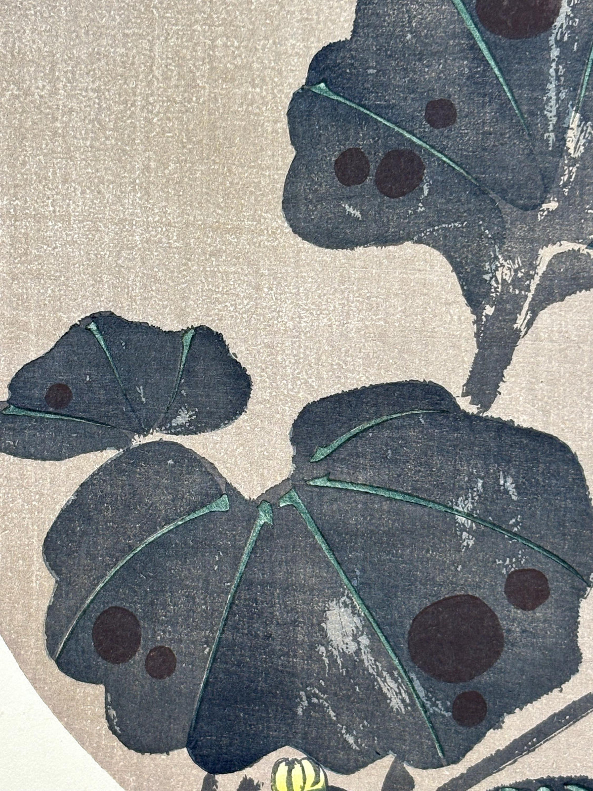 1908, Japanese antique woodblock print, Ito Jakuchu, "Leopard plant, from Jakuchu gafu"