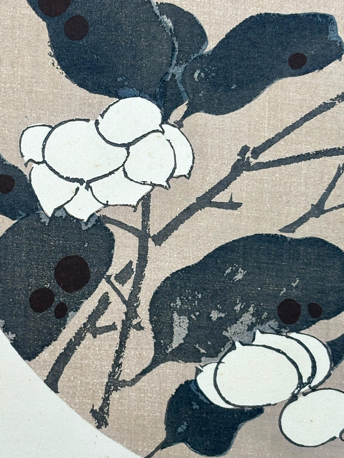1908, Japanese antique woodblock print, Ito Jakuchu, "Siebold's magnolia, from Jakuchu gafu"