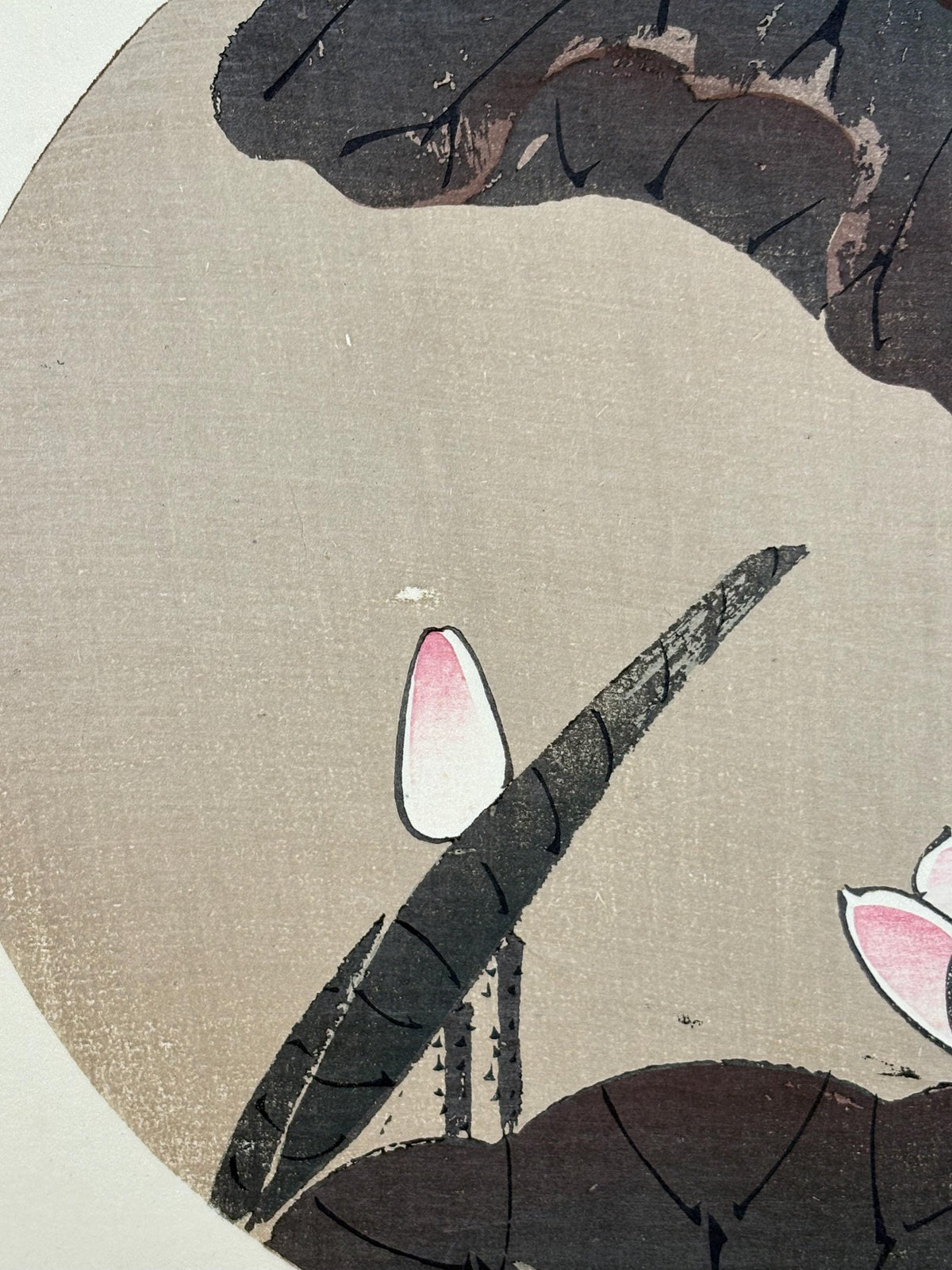 1908, Japanese antique woodblock print, Ito Jakuchu, "Lotus, from Jakuchu gafu"