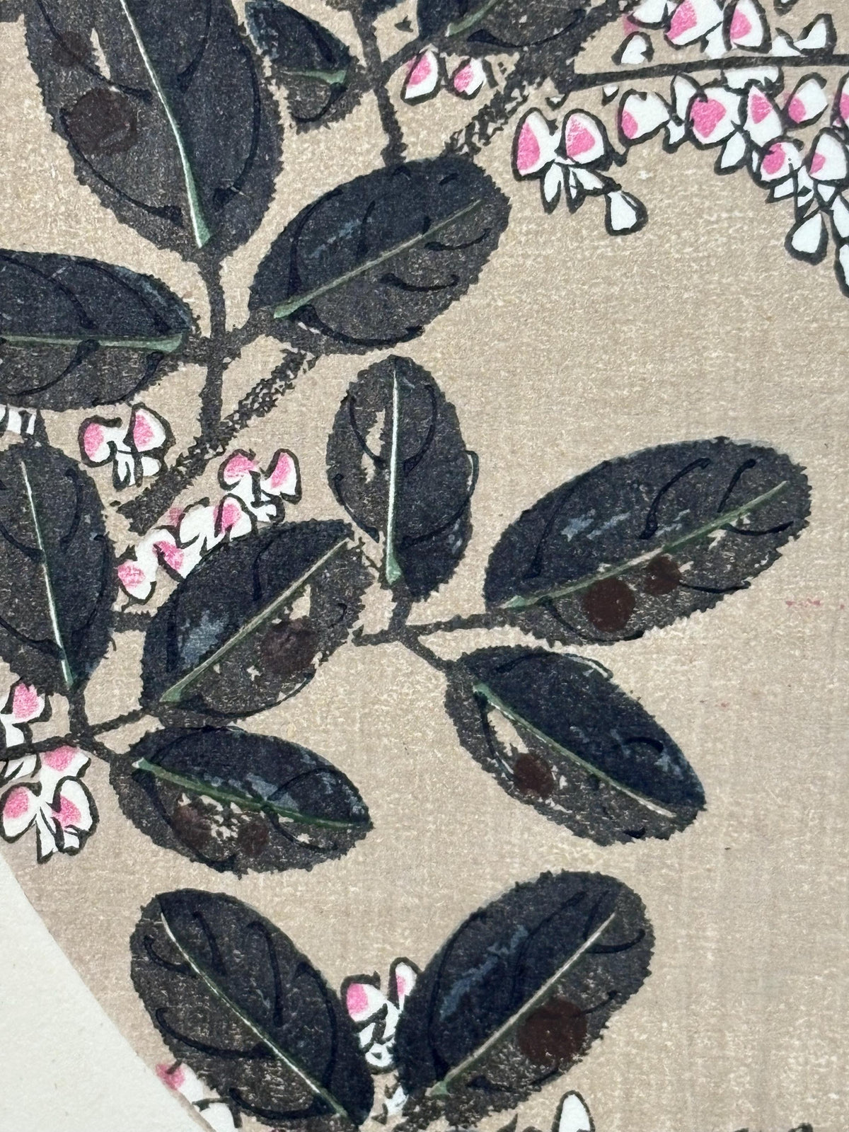 1908, Japanese antique woodblock print, Ito Jakuchu, "Bush clover, from Jakuchu gafu"