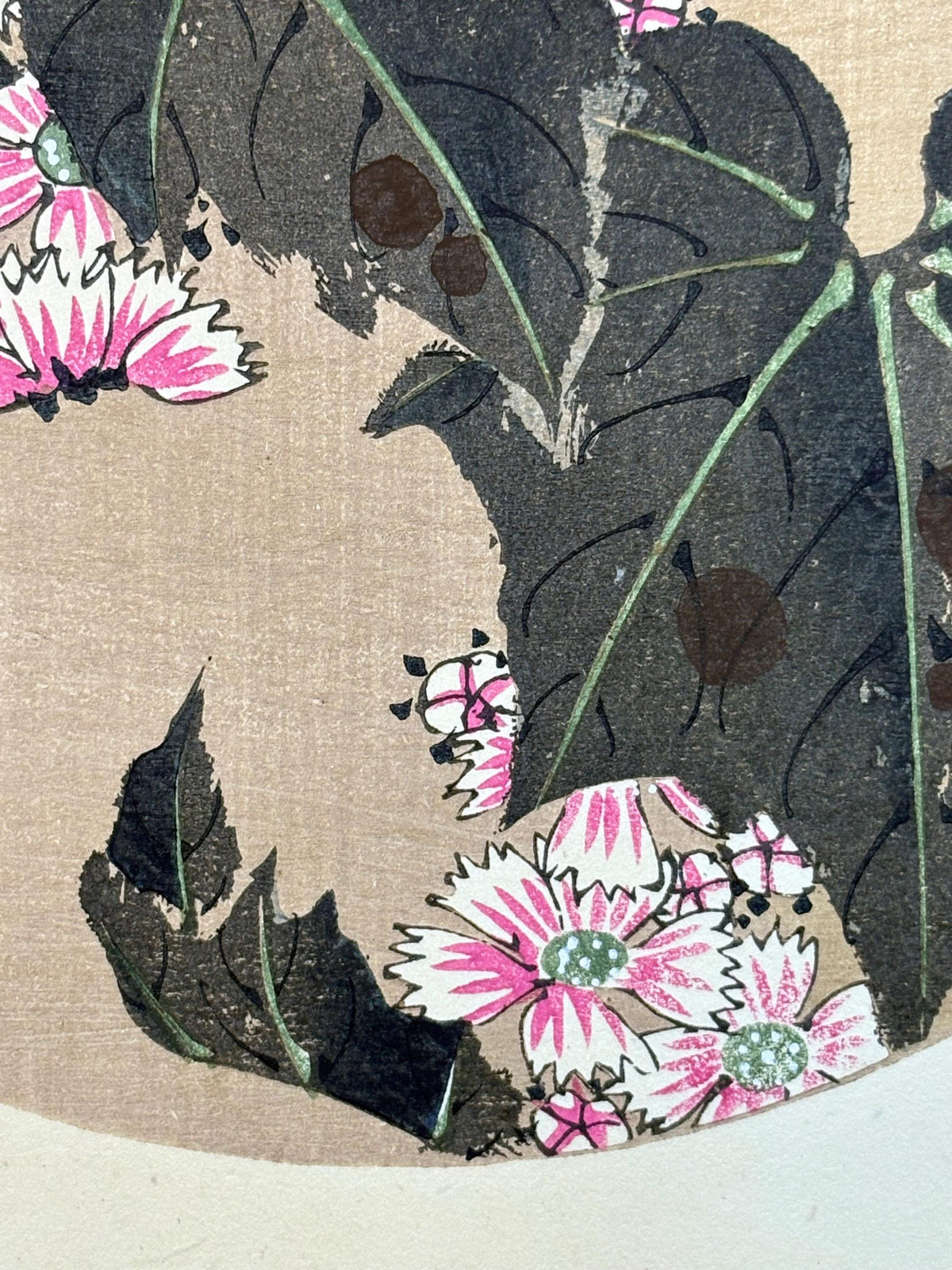 1908, Japanese antique woodblock print, Ito Jakuchu, "Common Mallow, from Jakuchu gafu"