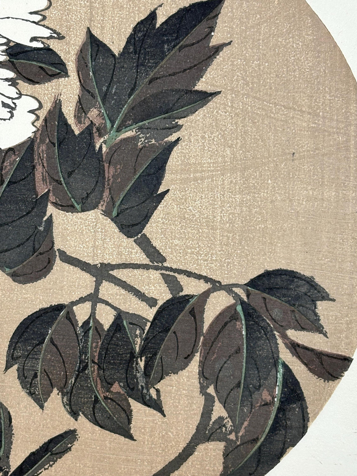 1908, Japanese antique woodblock print, Ito Jakuchu, "Peony, from Jakuchu gafu"