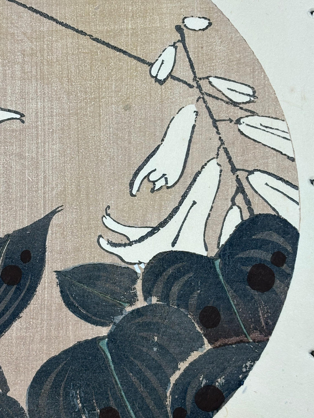 1908, Japanese antique woodblock print, Ito Jakuchu, "Plantain Lily, from Jakuchu gafu"