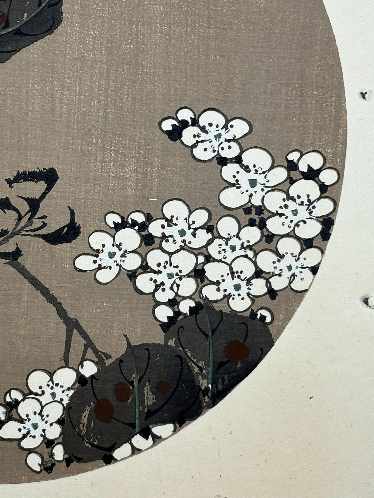 1908, Japanese antique woodblock print, Ito Jakuchu, "Pear Blossom, from Jakuchu gafu"