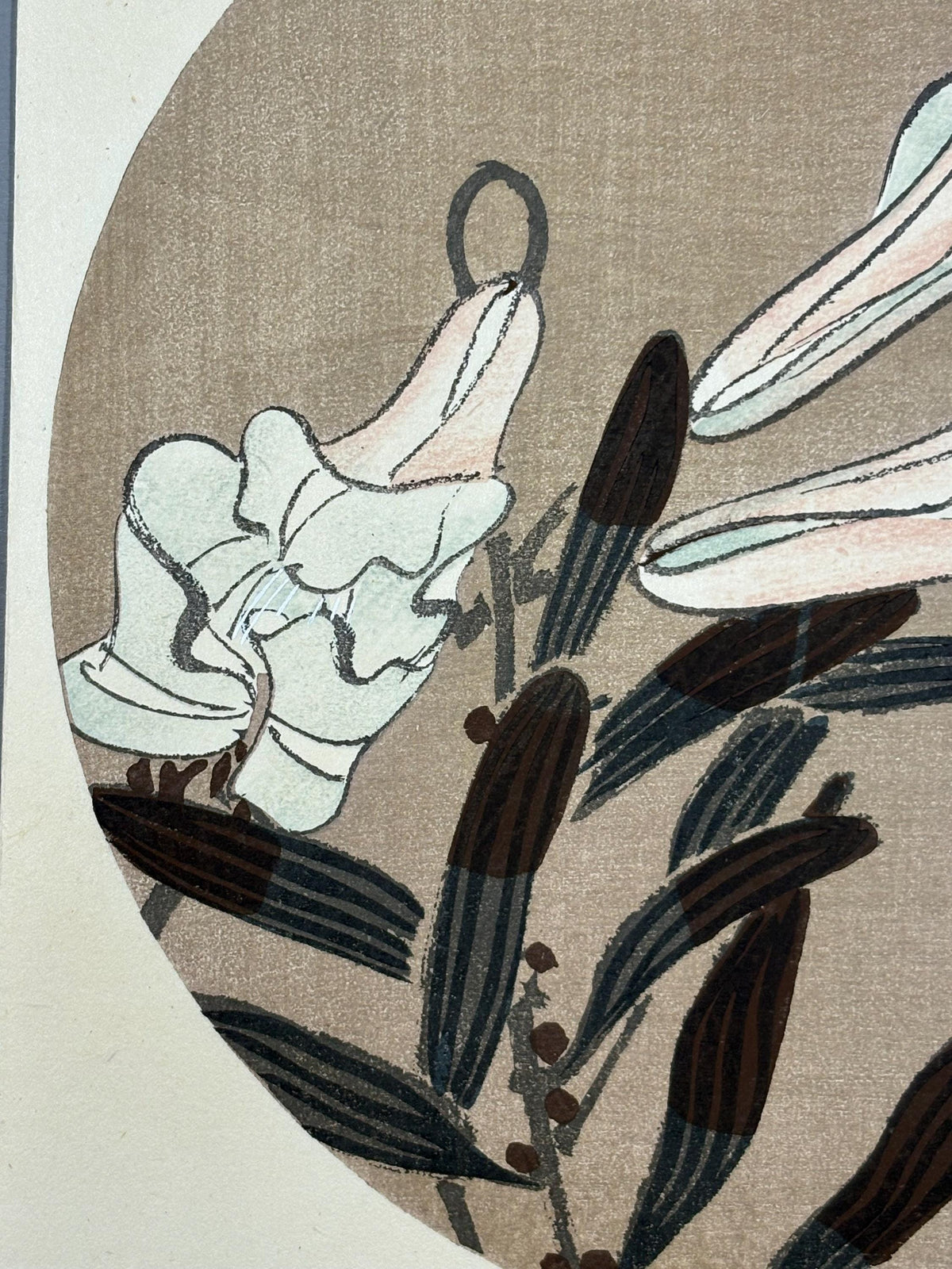 1908, Japanese antique woodblock print, Ito Jakuchu, "Showy Japanese Lily, from Jakuchu gafu"