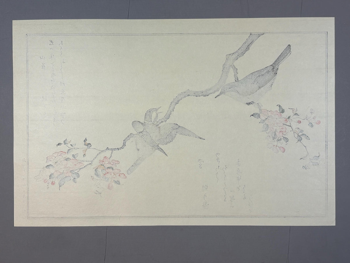 Japanese Ukiyo-e, woodblock print, Utamaro , "Varied Tit and Japanese Bush Warbler"