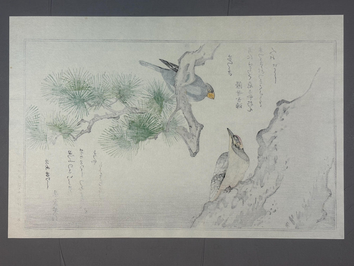 Japanese Ukiyo-e, woodblock print, Utamaro , "Long-tailed Tit and Woodpecker"