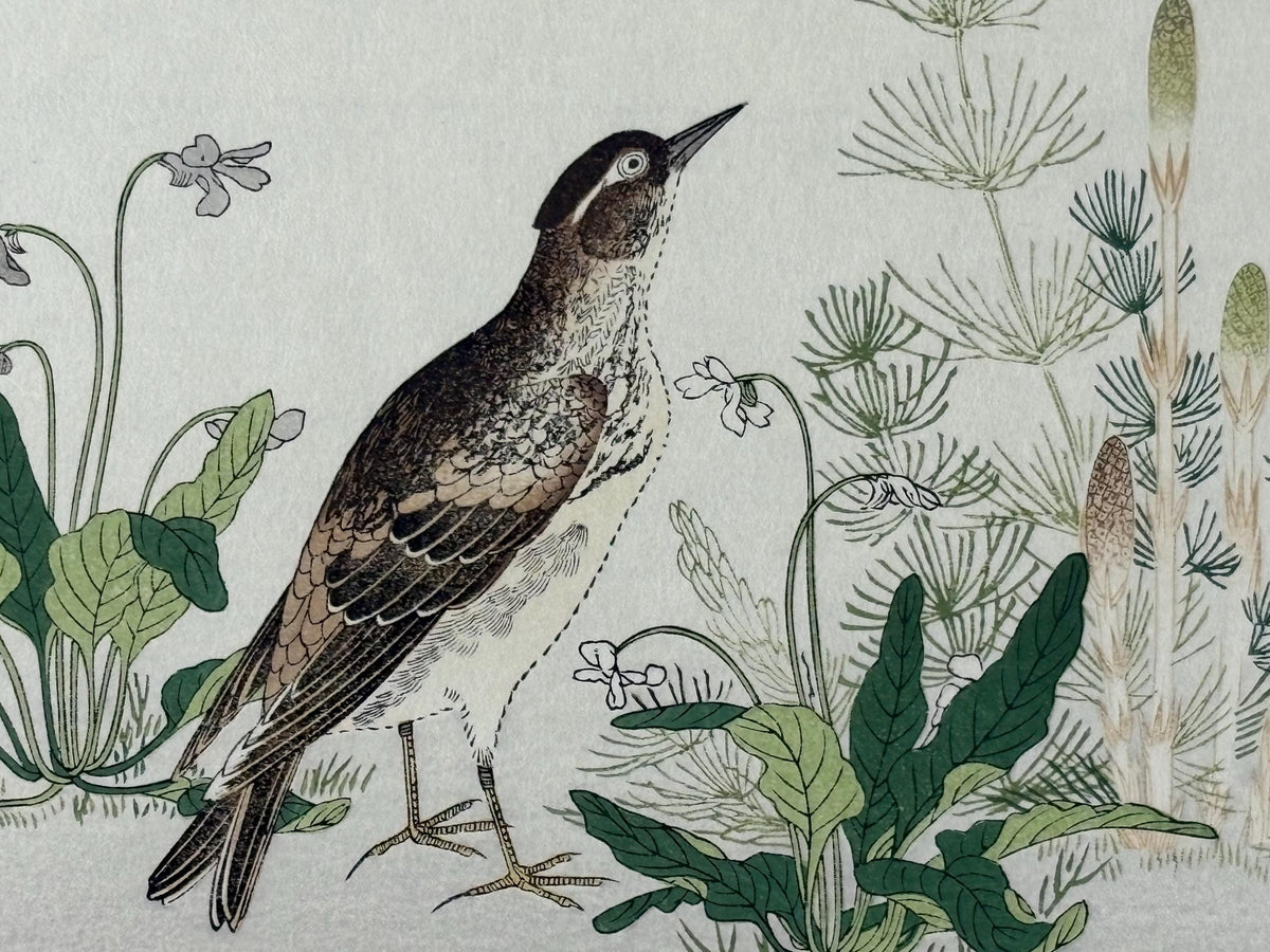 Japanese Ukiyo-e, woodblock print, Utamaro , "Quail and Skylark"