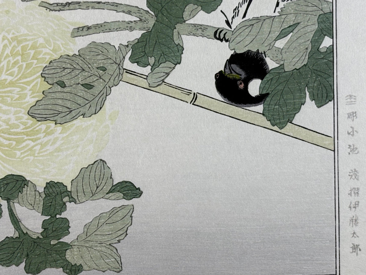 Japanese Ukiyo-e, woodblock print, Utamaro , "Japanese Tit and Japanese Robin"