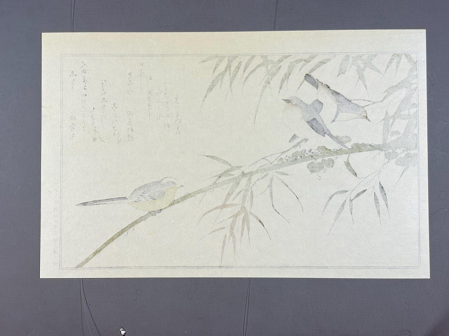 Japanese Ukiyo-e, woodblock print, Utamaro , "Long-tailed Tit and Japanese White-eye"