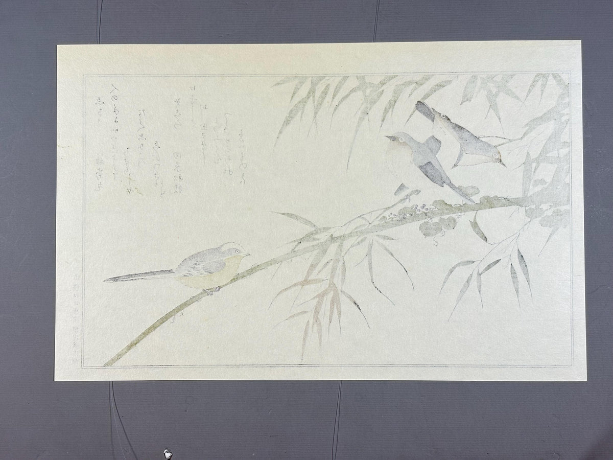 Japanese Ukiyo-e, woodblock print, Utamaro , "Long-tailed Tit and Japanese White-eye"