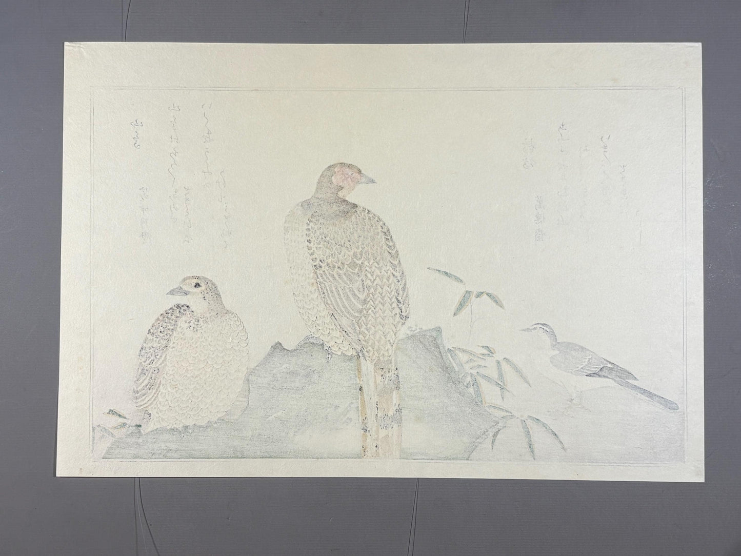 Japanese Ukiyo-e, woodblock print, Utamaro , "Copper Pheasant and Wagtail"