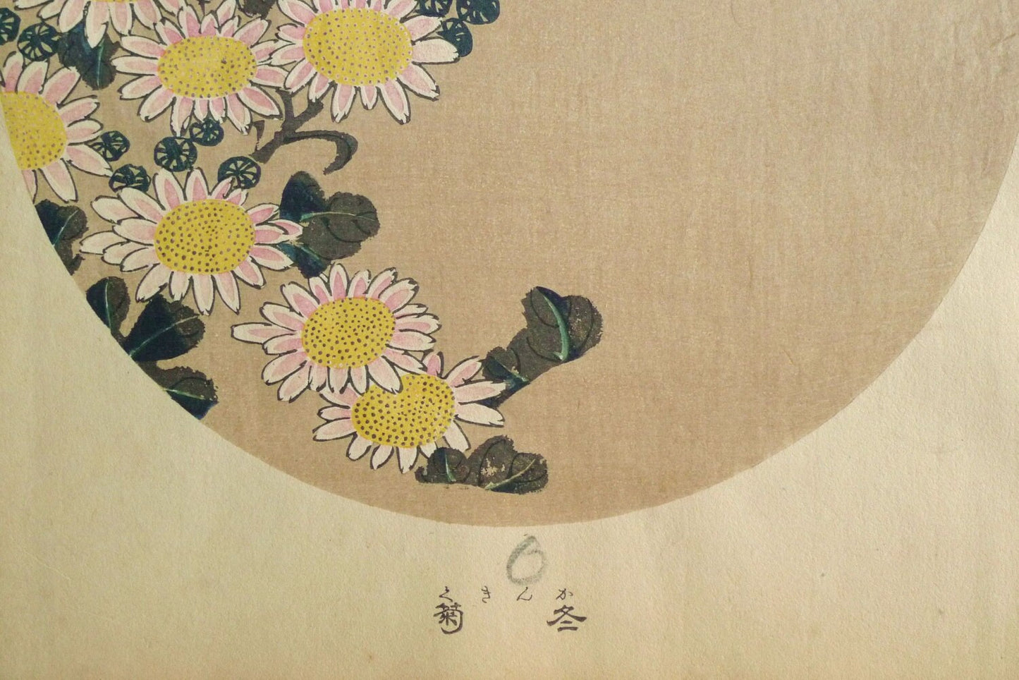 1908, Japanese antique woodblock print, Ito Jakuchu, "Winter chrysanthemum, from Jakuchu gafu", woodcut print.