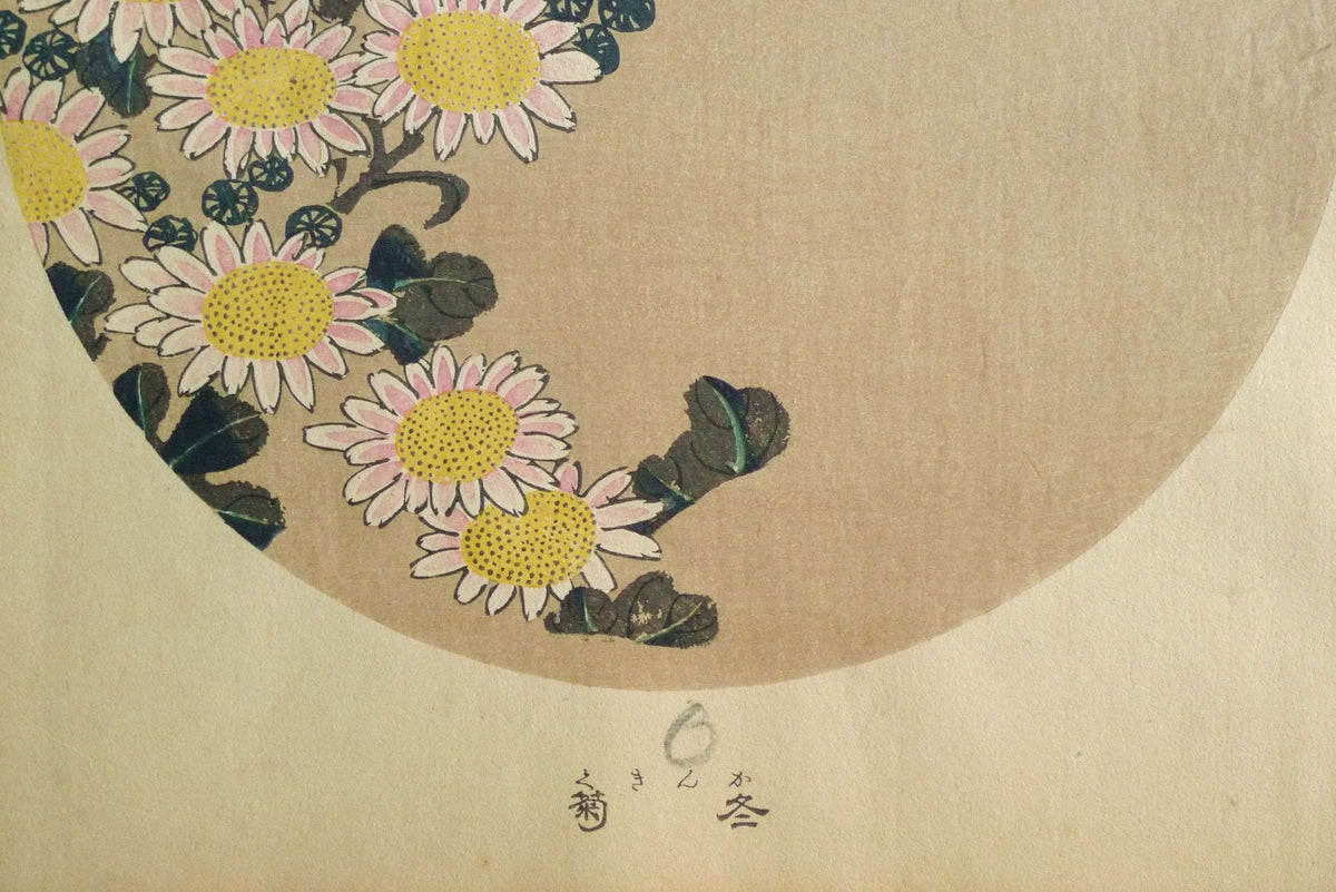 1908, Japanese antique woodblock print, Ito Jakuchu, "Winter chrysanthemum, from Jakuchu gafu", woodcut print.
