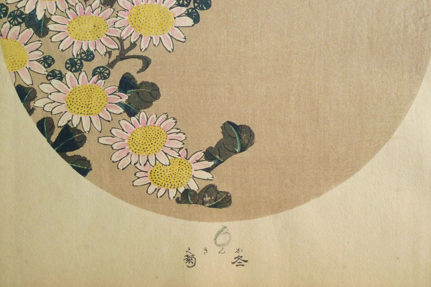 1908, Japanese antique woodblock print, Ito Jakuchu, "Winter chrysanthemum, from Jakuchu gafu", woodcut print.
