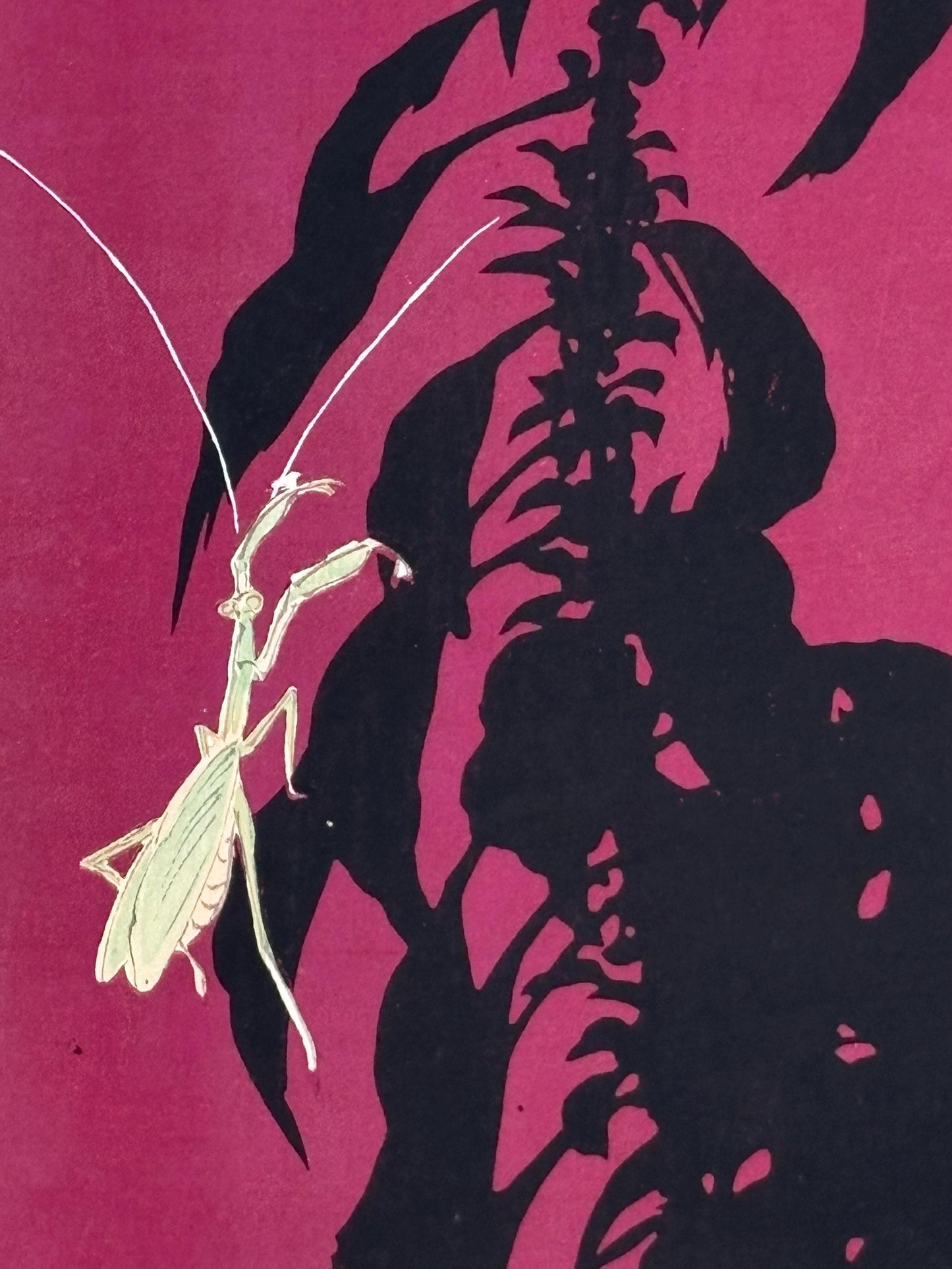 Japanese original woodblock print, 1934, Kyobashi Masuichi, "Tansai-Gafu".