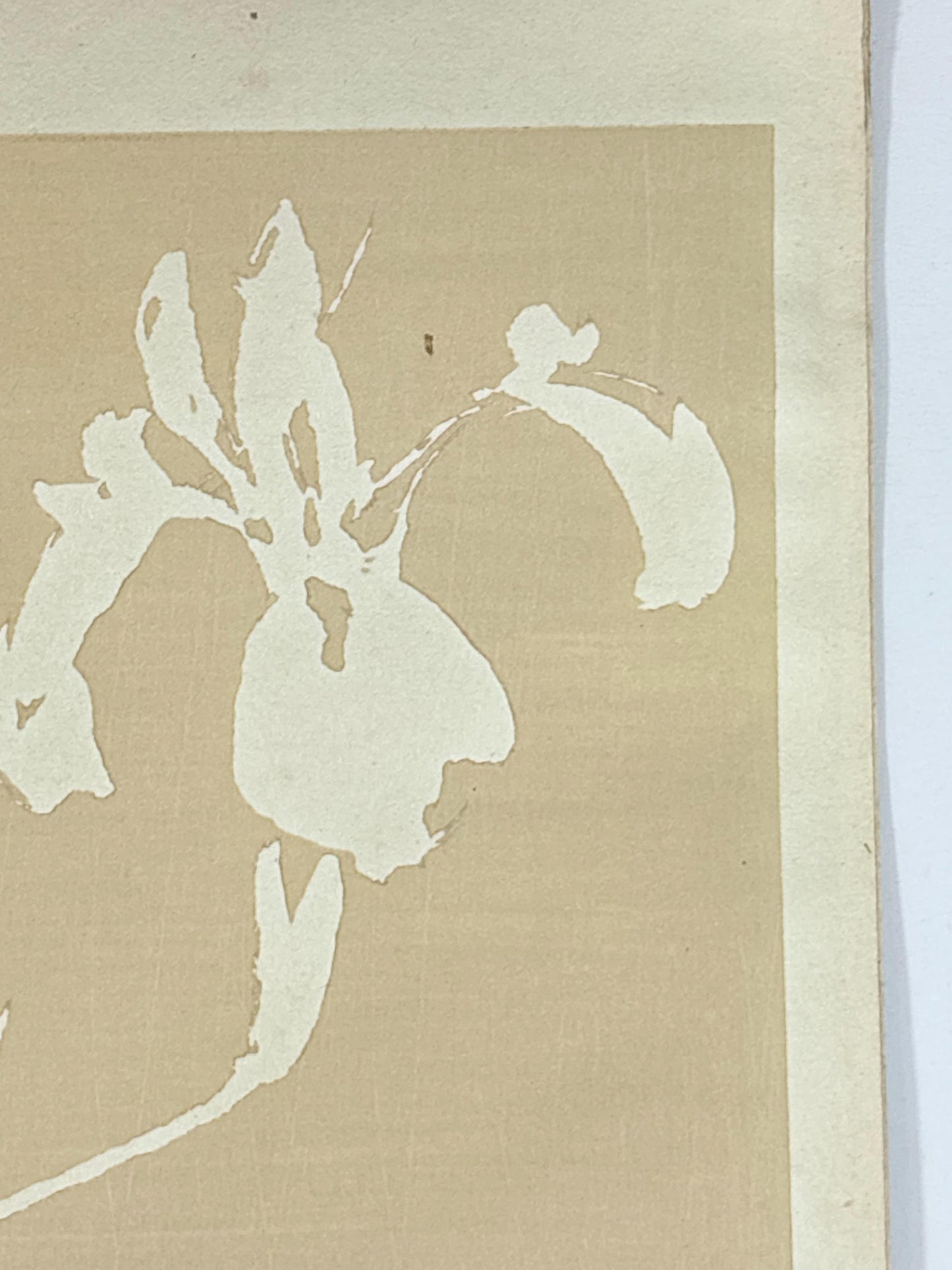 Japanese original woodblock print, 1934, Kyobashi Masuichi, "Tansai-Gafu".