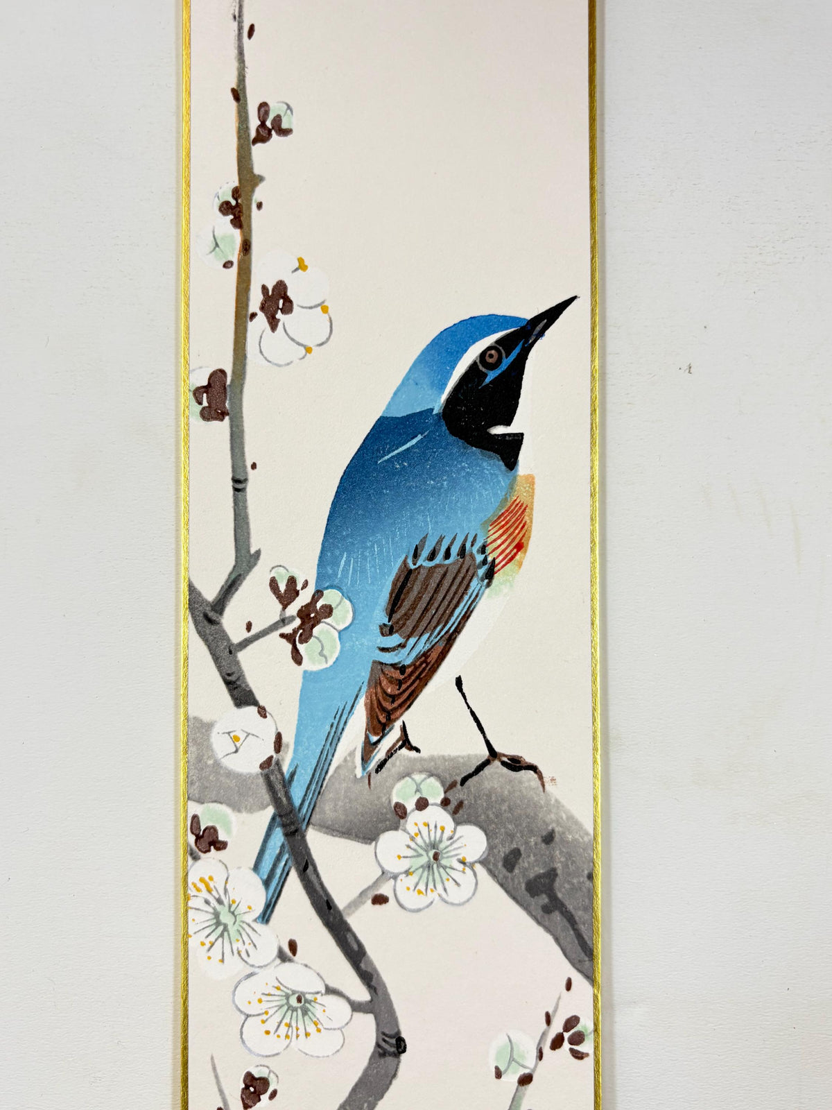 Japanese woodblock print, Fukuda Suiko,"Japanese apricot and Red-flanked bluetail"