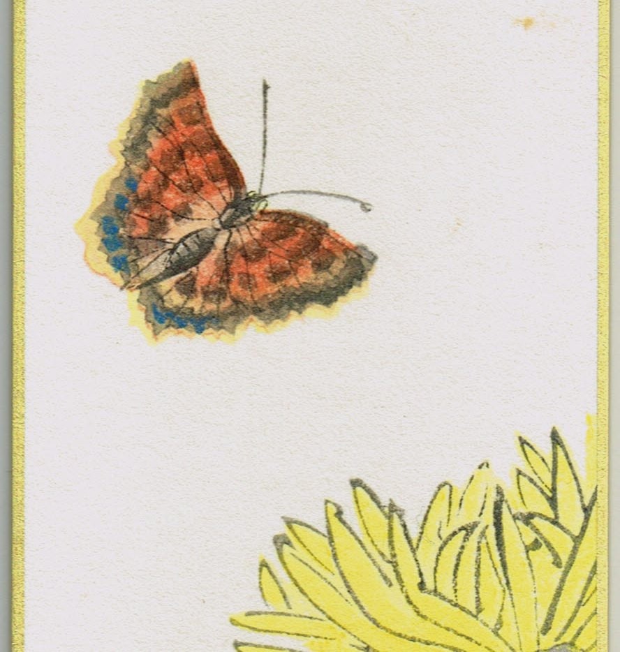 Japanese woodblock print, Fukuda Suiko,"Chrysanthemum and Butterfly"