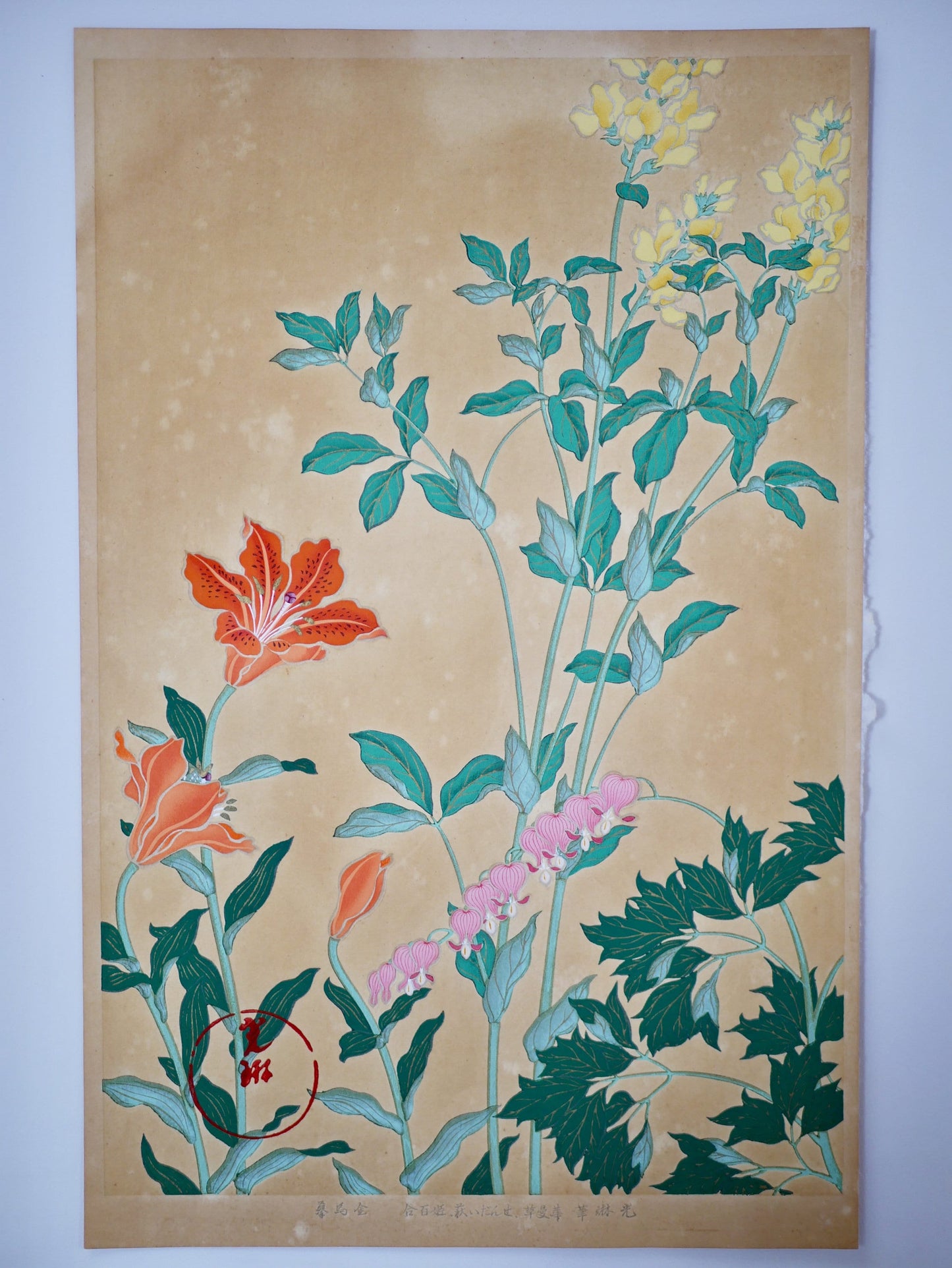 1931, Japanese antique woodblock print, Ogata Korin, "Album of Hundred Flowers by Artists of Rinpa School, star lily, lyreflower"