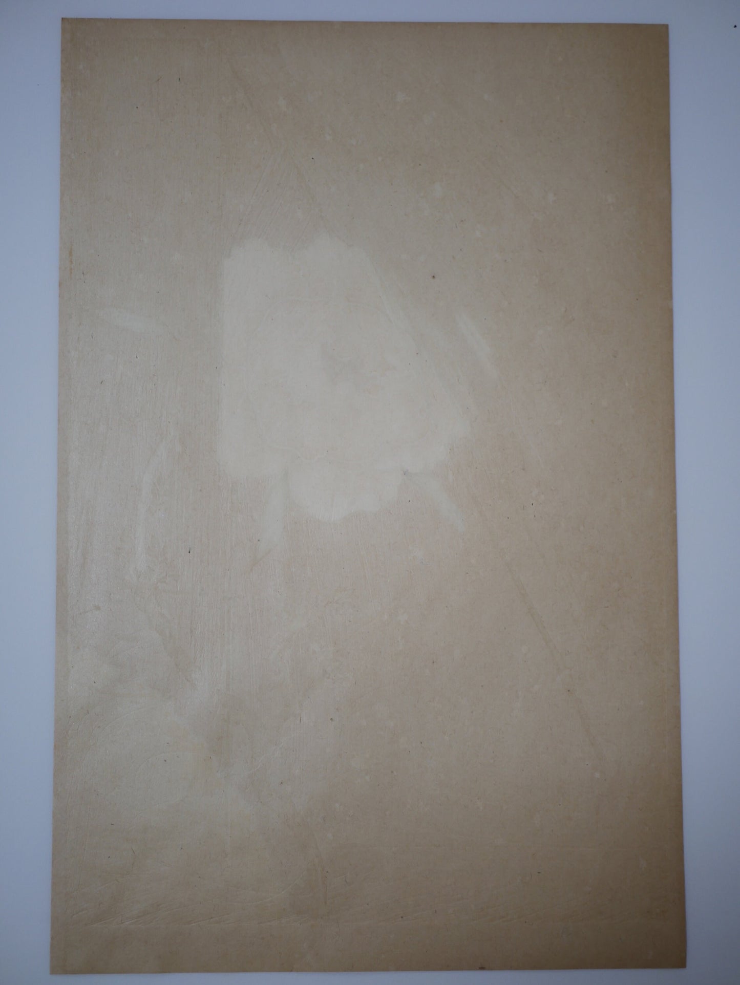1931, Japanese antique woodblock print, Sakai Hoitsu, "Album of Hundred Flowers by Artists of Rinpa School, Peony"