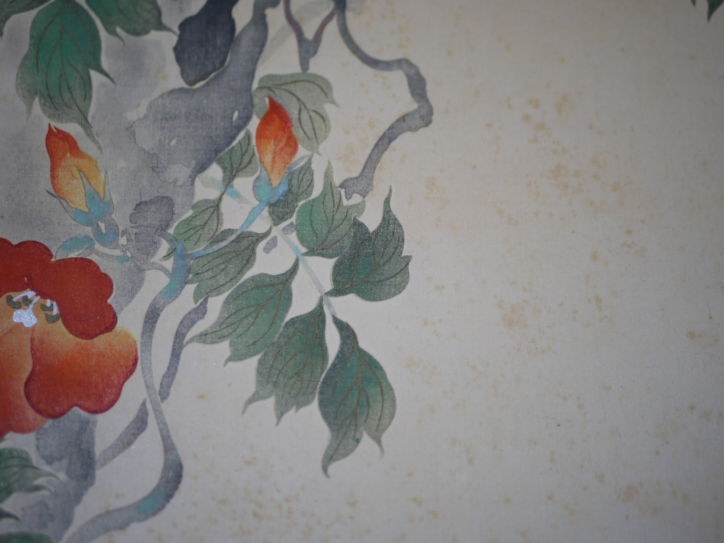 1931, Japanese antique woodblock print, Sakai Hoitsu, "Album of Hundred Flowers by Artists of Rinpa School, Campsis grandiflora"