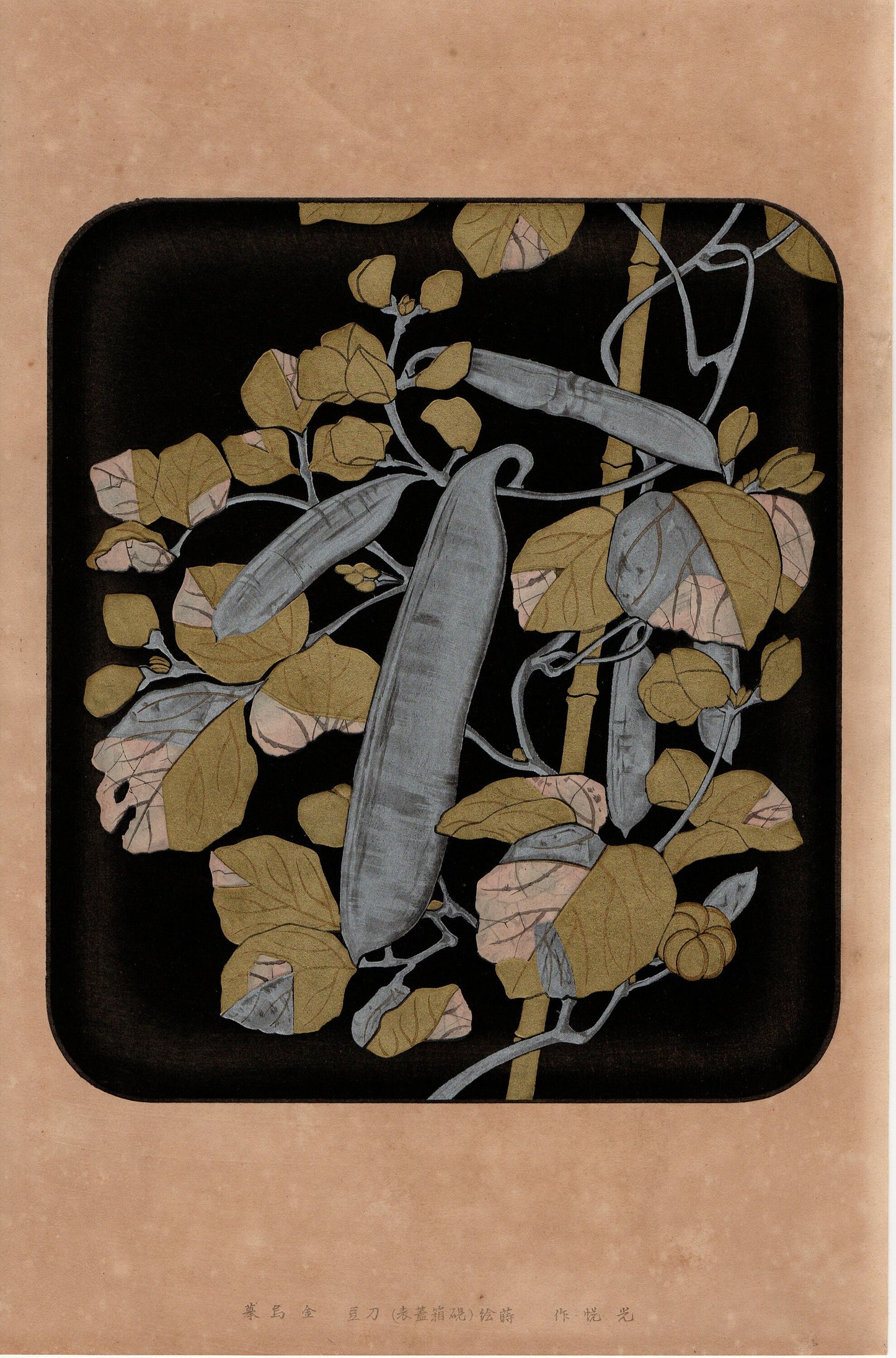 1930, Hon-ami Koetsu, "Album of Hundred Flowers by Artists of Rinpa School, Sword beans”